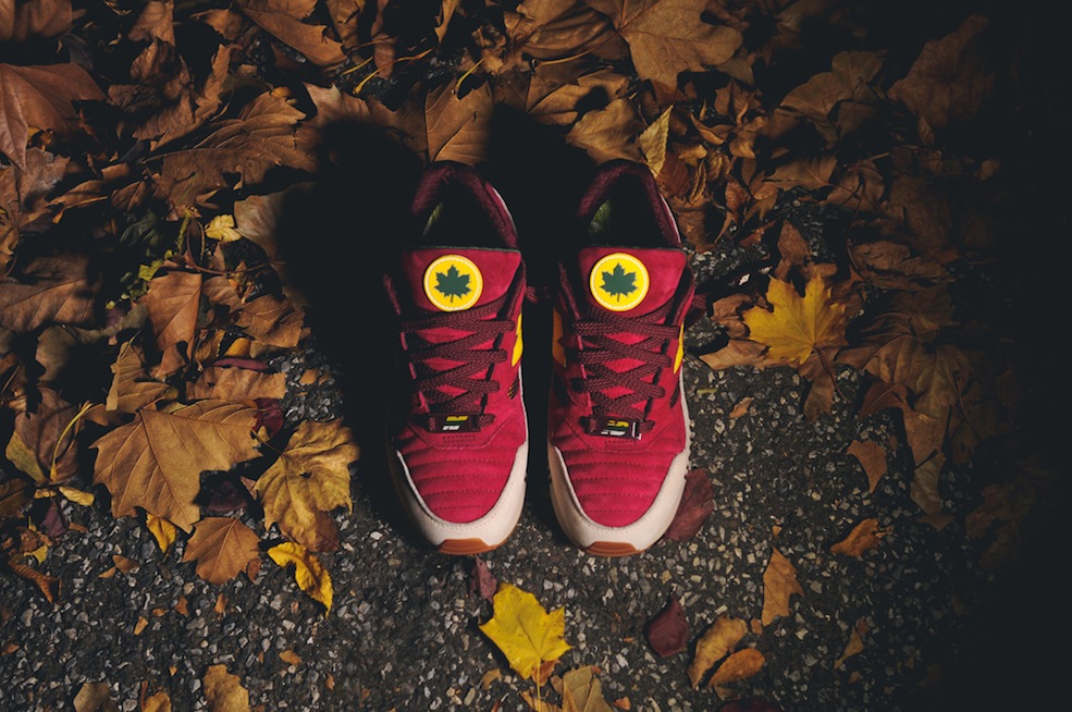 ronnie-fieg-new-balance-530-central-park-2