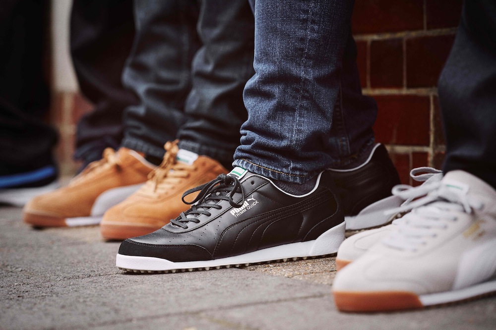 005_PUMA_INCIDENTALS_134