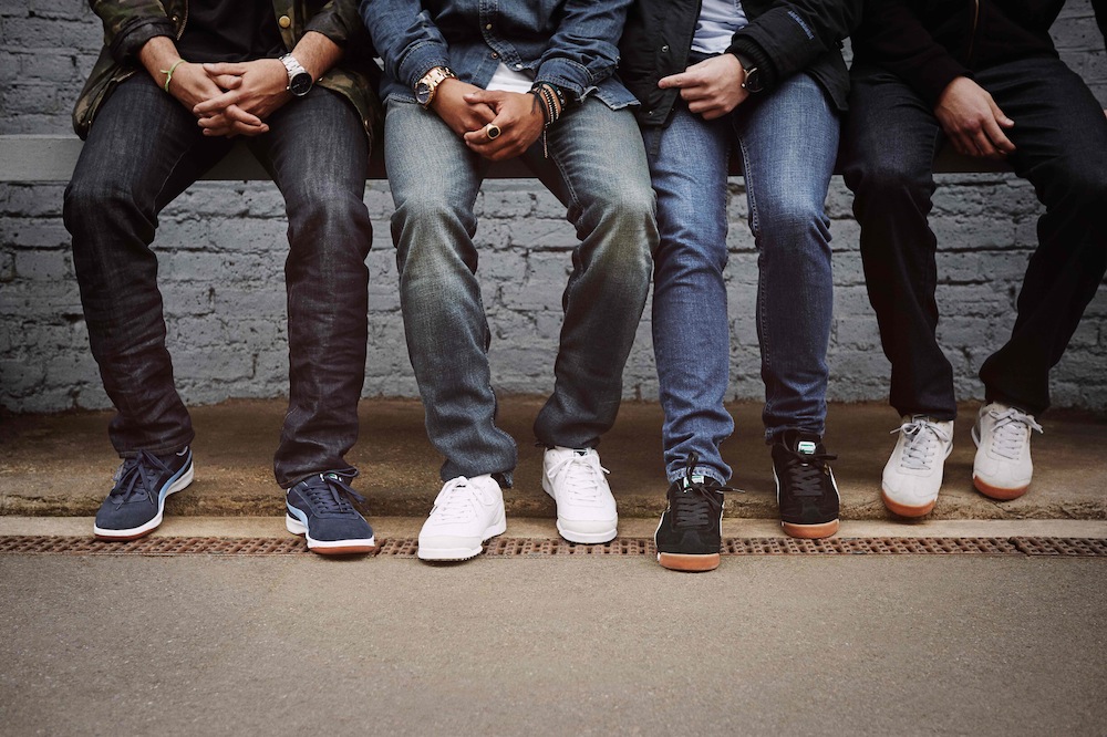 005_PUMA_INCIDENTALS_802