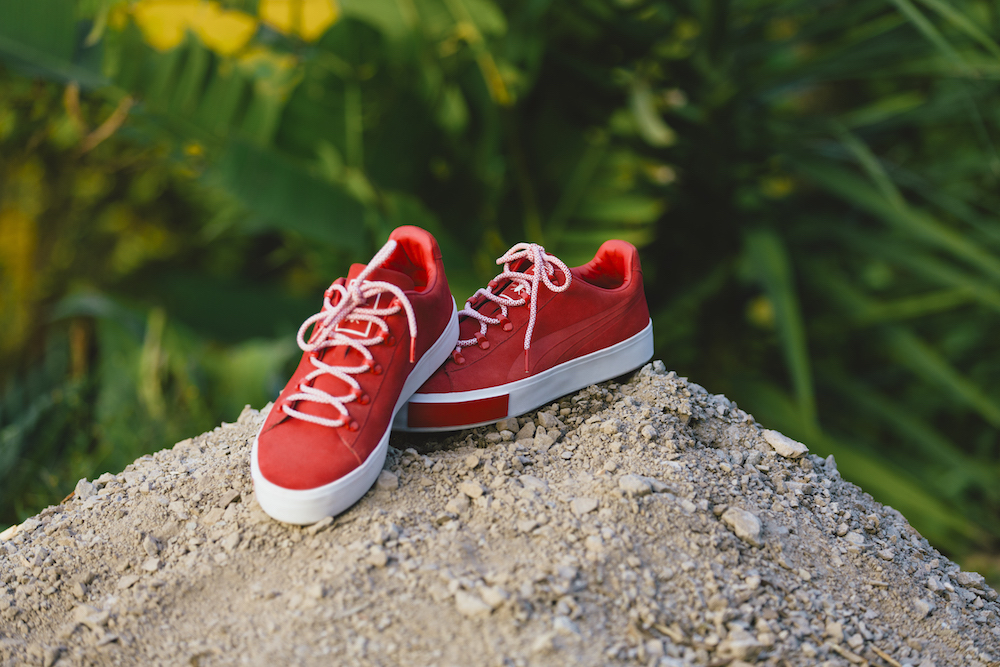 17ss_pr_sp_select_dailypaper_q1_product_3