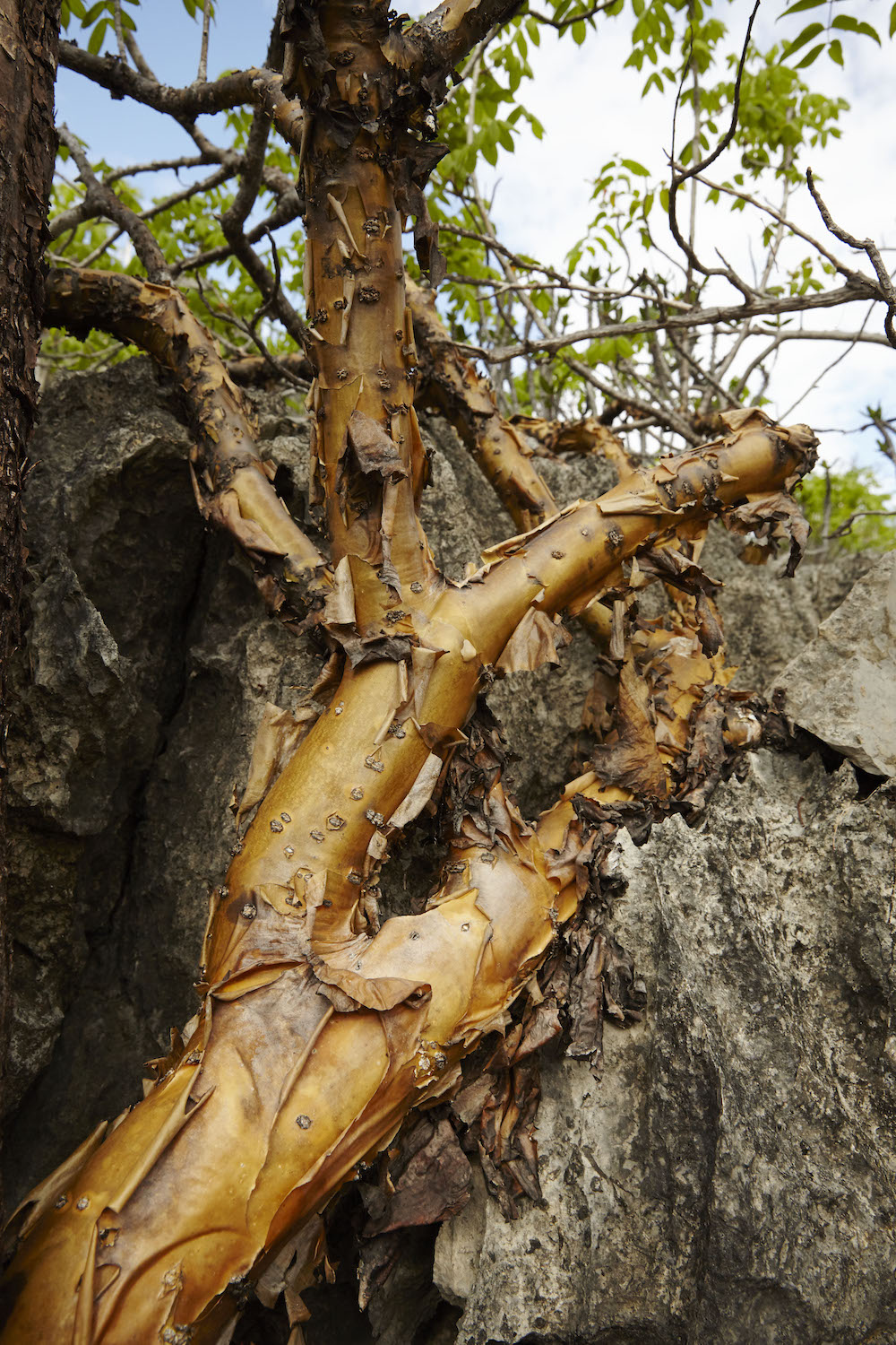 2016-12-filling-pieces-madagascar_day-04_stills-70