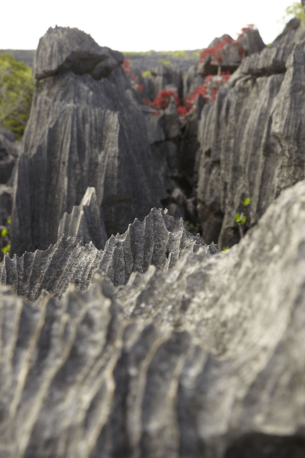 2016-12-filling-pieces-madagascar_day-04_stills-84