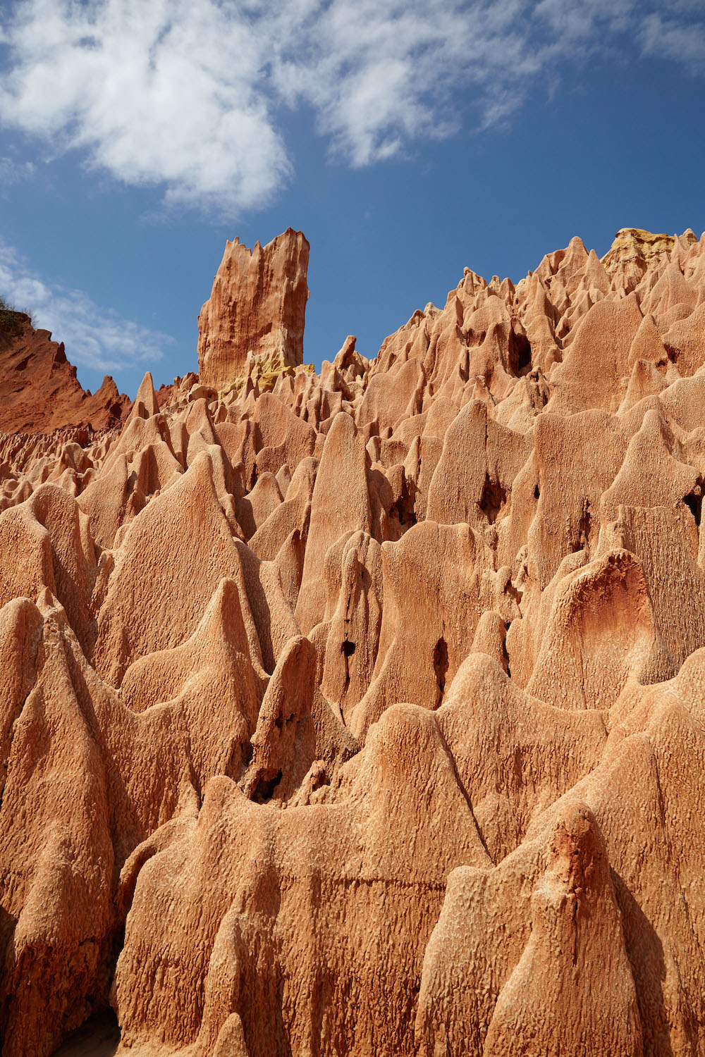 2016-12-filling-pieces_madagascar_day-05_foto04_019